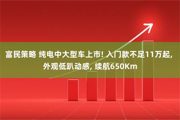 富民策略 纯电中大型车上市! 入门款不足11万起, 外观低趴动感, 续航650Km