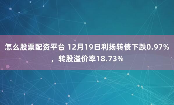 怎么股票配资平台 12月19日利扬转债下跌0.97%，转股溢价率18.73%